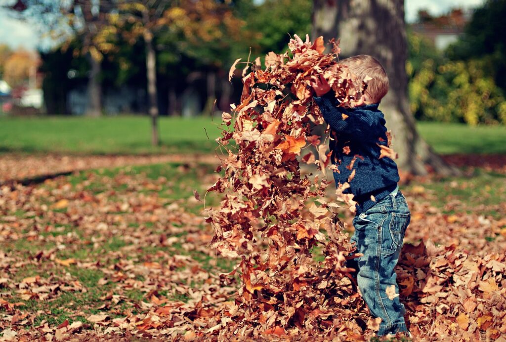 boy, playing, leaves-1209964.jpg